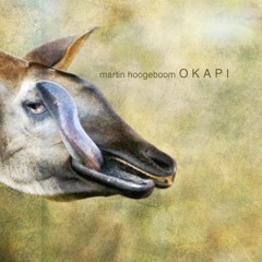 Okapi (2)