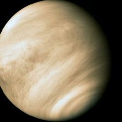 Venus