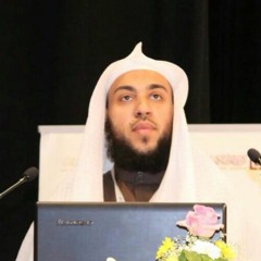القارئ الدكتور محمد سعيد نجيب سورة هود قصة نوح -عليه السلام- بصوت أكثر من رائع وتلاوة تفوق الوصف