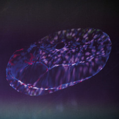 i want everyone to sing as one that everything is gone