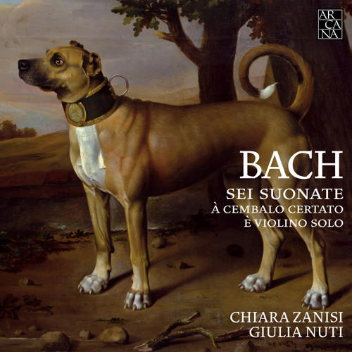 BACH // Violin Sonata No. 3 in E Major, BWV 1016: IV. Allegro