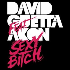 David Guetta Ft Akon - Sexy Bitch (Dj Franjer Moreno Remix) Final