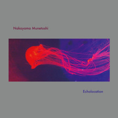 Nakayama Munetoshi - Awake