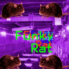 Funky Rat