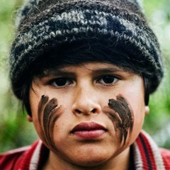 Hunt for the Wilderpeople / Sonita (Secondary)