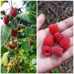 still waiting for you