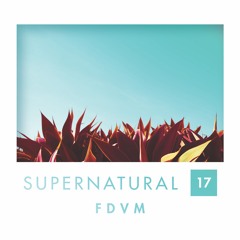 Supernatural 17 by FDVM