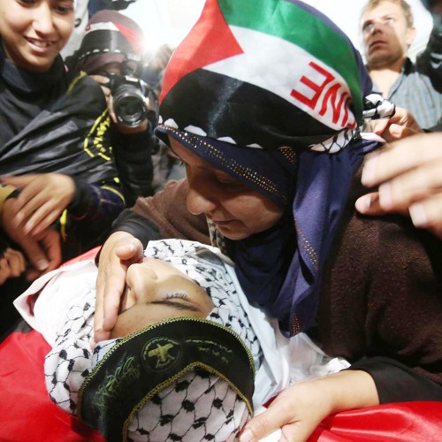 يا حبيبة ها أنا .. رحتُ أبحث عن هنا