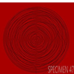 Oh, Look What We've Done