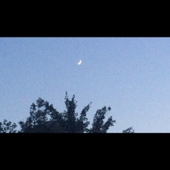 Moody's Mood For Love (Cover) - Cecile McLorin Salvant