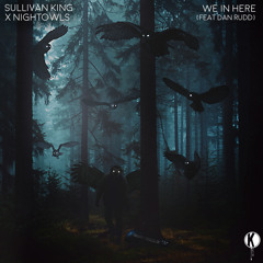 Sullivan King x Nightowls - We In Here (feat. Dan Rudd)