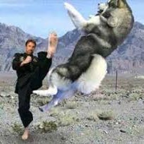 Stream Elliot And The Visitors Kick That Dog by ElFanglord Listen online for free on SoundCloud