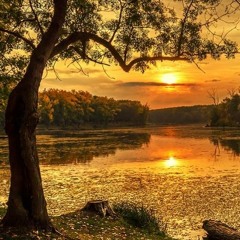 Quel che resta - Ludovico Einaudi - Pianist, Saundra Cezard