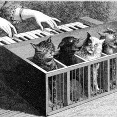 second mayhem testrec too much acid  ternair zgang