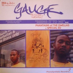 Gauge - Bring It To Me feat Phantasm & Special Ed