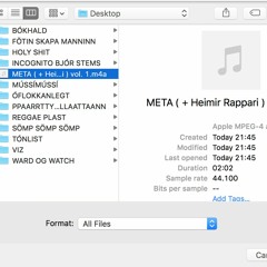 META ( + Heimir Rappari )
