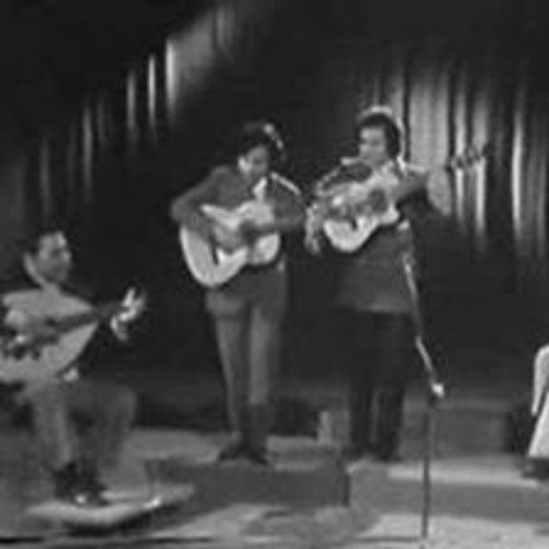 جميل بشير - جي مالي والي