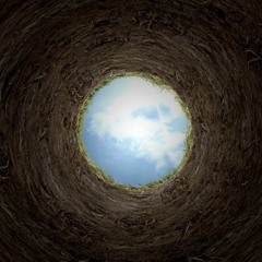 RabbitHole (prod. bloom)