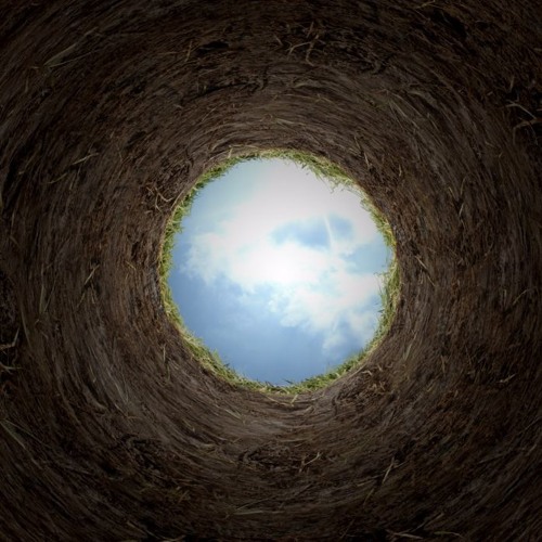 RabbitHole (prod. bloom)