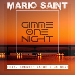 Gimme One Night (feat. Brenden Leigh)