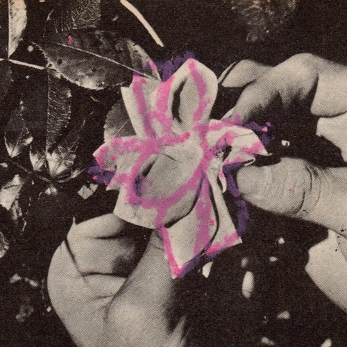 flora
