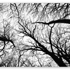 Sanctioned (Prod. 11RayBeats)