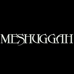 Meshuggah - Sane (Instrumental Cover)