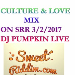CULTURE & LOVE By DjPumpkin LIVE On SRR 3 - 2-17