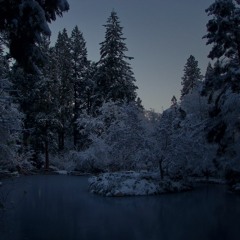 Frozen pond, winter night