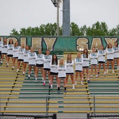 langley lacrosse 2017