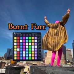 Burnt Furr (Pink Omega, Furr x Shawn Wasabi, Burnt Rice Mashup)