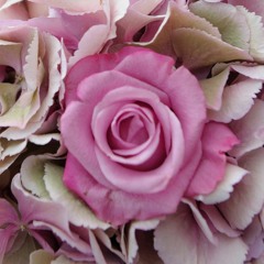 Ma Préférence À Moi