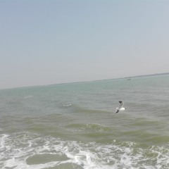 Prem amar