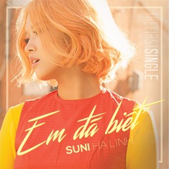 Em Đã Biết - Suni Hạ Linh, R.Tee ( Tritiz Remix)