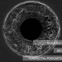 Perspectiv Podcasts 002 - Mulandi