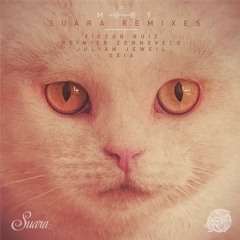 Moby - Natural Blues (Reinier Zonneveld's Homage Remix) [Suara]
