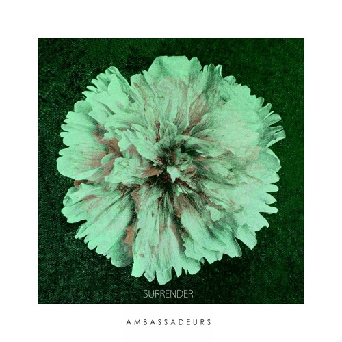 Ambassadeurs - Surrender