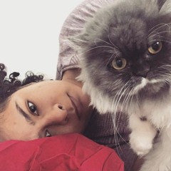 mia's lullaby (meow meow)