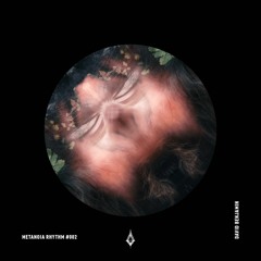 metanoia RHYTHM #002 - David Benjamin