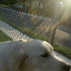 Chicago is Deadvertistment [0ne]