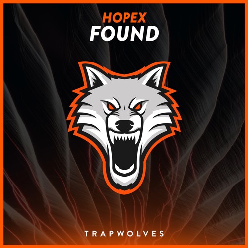 HOPEX - Found