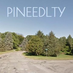 Pineedlty Demo