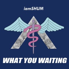 iamSHUM / WHAT YOU WAITING 【Available on iTunes】