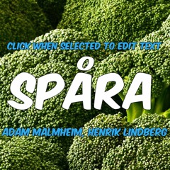 Spåra