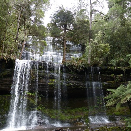 I AM Life (snippet) (mix)