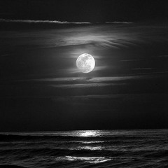 Bogdan Raczynski- Alright! (Part 8)