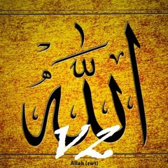 Dorchester - Blaze 1, Red-Herring