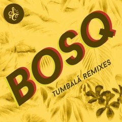 Bosq - Because You feat. Danielle Moore (Caserta Remix)