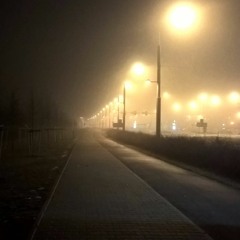 life as a vital amount