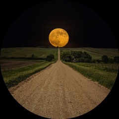 Road To Nowhere (Free Download)